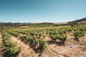 terrain à la vente -   11360  CASCASTEL DES CORBIERES, surface 148075 m2 vente terrain - UBI483140177